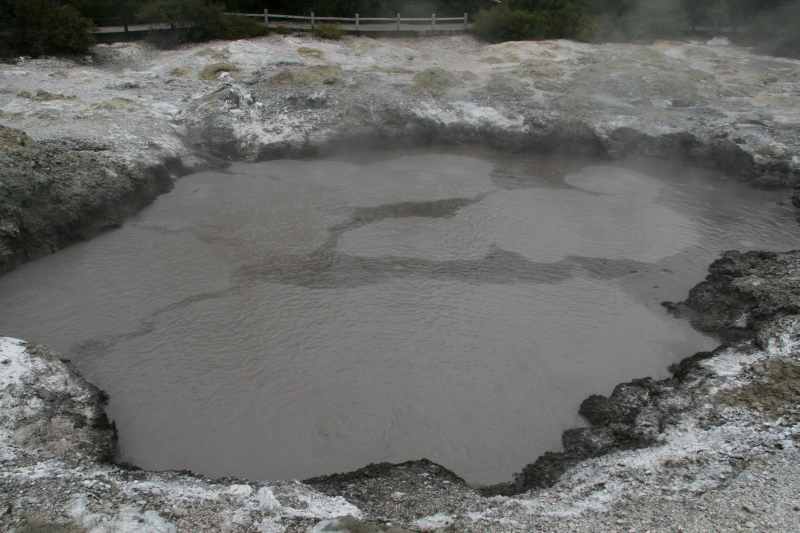 Nieuw-Zeeland 2011 - 0749